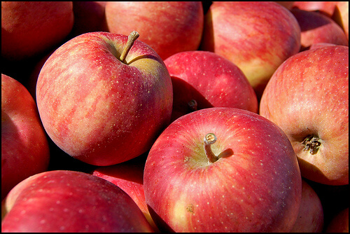 다이어트에 도움이 되는 과일 사과