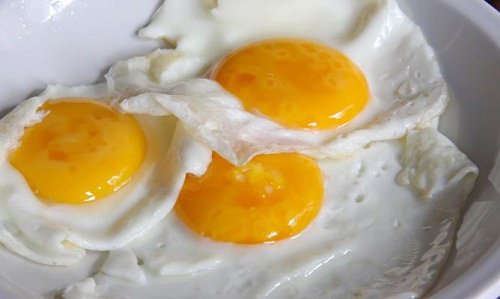달걀의 영양학적 사실