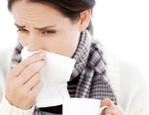면역 쳬계 감기