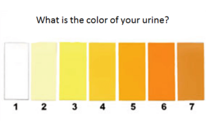 소변 색은 건강 상태를 알려준다