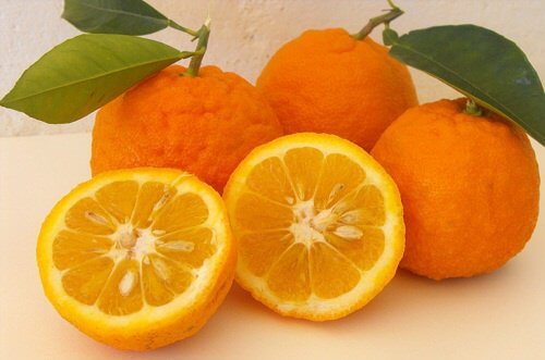 다이어트 뿐만 아니라 건강에도 좋은 오렌지 다이어트