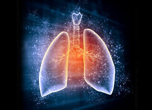 왜 폐를 디톡스해야 할까?