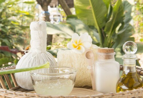 aloe-vera-cream-and-coconut-oil