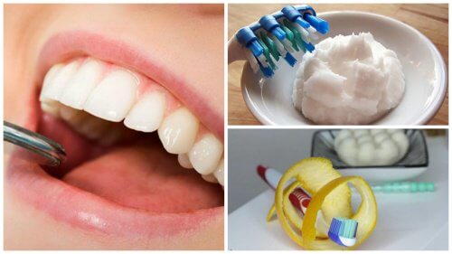 치아의 플라크를 제거하는 자연 요법 5가지
