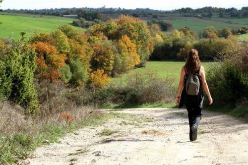 산책은 우울증으로 고통받는 뇌에 변화를 준다