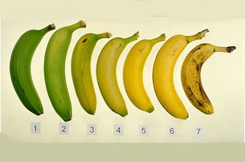 바나나는 언제 먹는 게 좋을까?