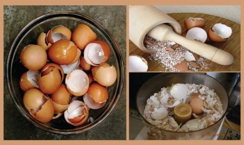 달걀 껍데기를 이용한 자연요법 6가지