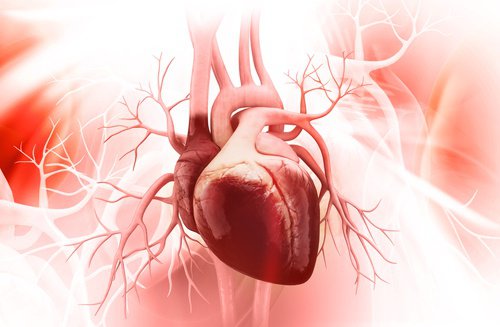 심장을 해치는 나쁜 습관 8가지