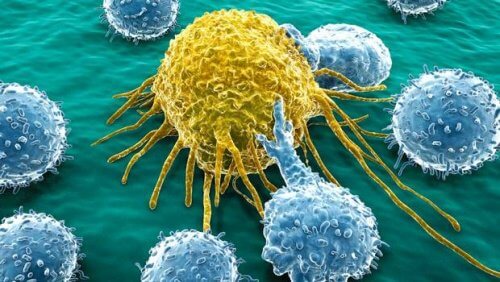 난소암과 췌장암을 치료하기 위한 새로운 분자