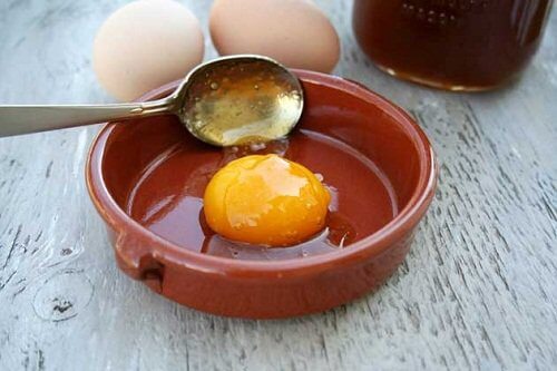 계란 노른자와 흰자 중 어떤 것이 몸에 더 좋을까?