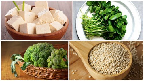 식단에 추가하면 좋은 식물 단백질 식품 8가지