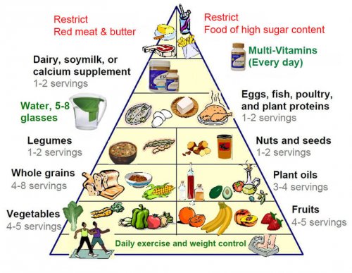 새로운 식품 피라미드에 대해 알아보자 — 건강을 위한 발걸음
