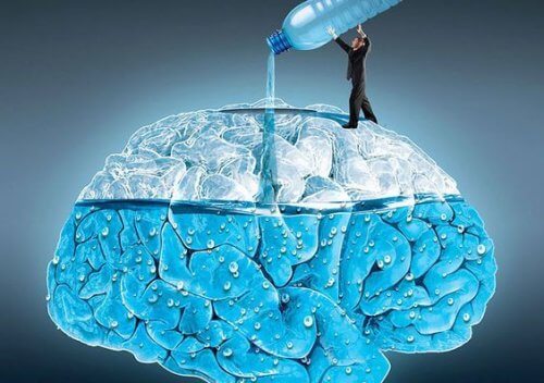 물이 뇌 기능에 미치는 영향 5가지