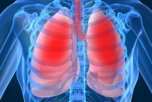 폐가 망가지고 있다는 10가지 신호