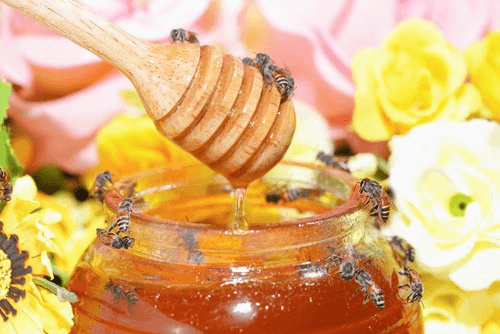 달콤한 꿀 한 스푼에 숨겨진 다양한 효능