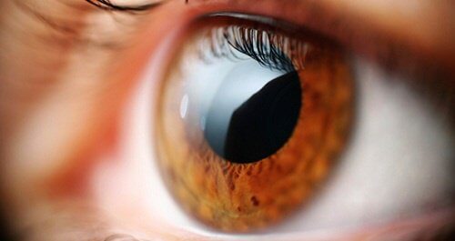 눈이 몸에 대해 알려주는 5가지