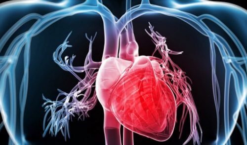 심장을 강화하는 비결 9가지