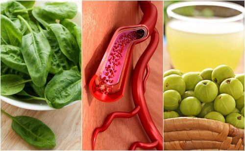 혈소판을 증가시키는 식품 7가지
