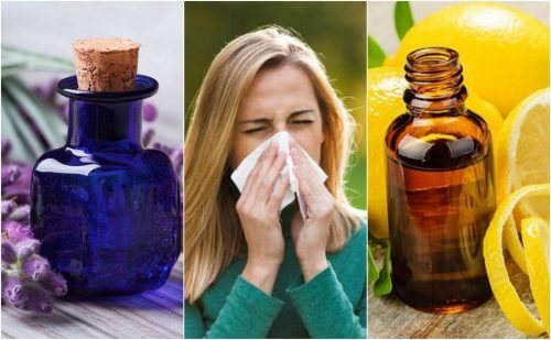 알레르기 증상을 조절하는 6가지 에센셜 오일