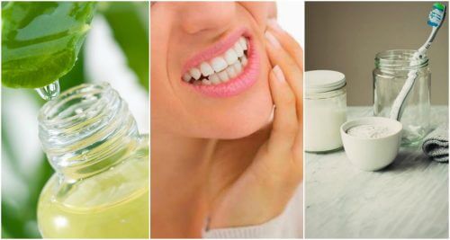 치은염을 치료하는 자연 요법 6가지
