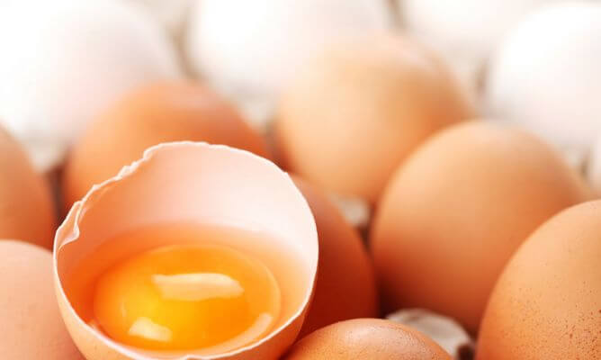 달걀흰자의 효과