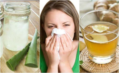 알레르기성 비염을 위한 자연 요법 5가지