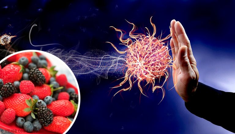 면역력을 강화하는 9가지 식품