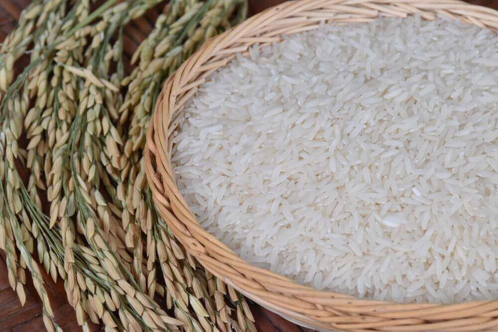쌀을 먹는 것이 위험할까?