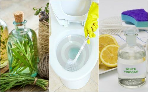 친환경 화장실 살균제 5가지