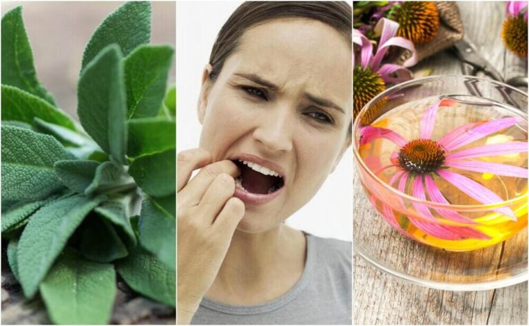 치은염을 퇴치하기 위한 자연 요법 5가지