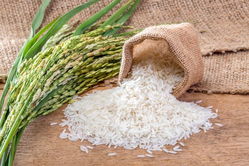 쌀의 효능과 먹는 방법 알아보기