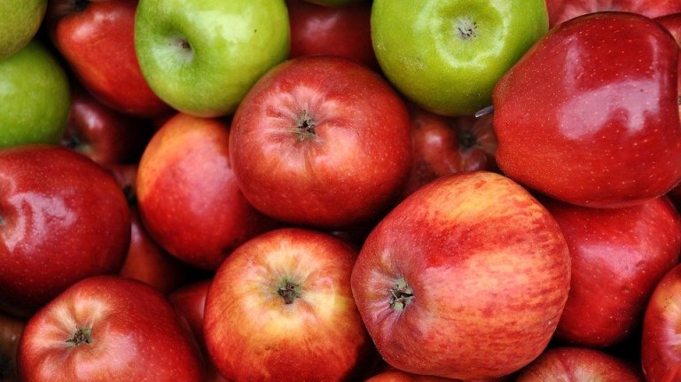 쉽게 체중을 감량할 수 있도록 도움을 주는 6가지 과일 사과