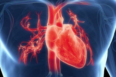 과로가 심장 건강에 미치는 영향
