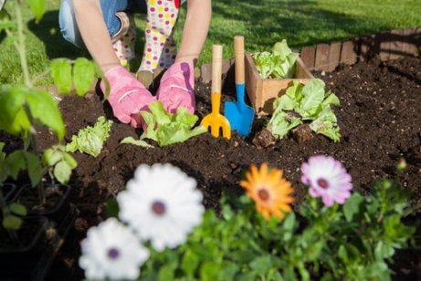 정원에서 식초를 사용하는 7가지 방법