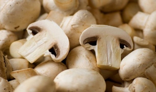 안달루시아 버섯 맛있는 버섯 요리 레시피 3가지