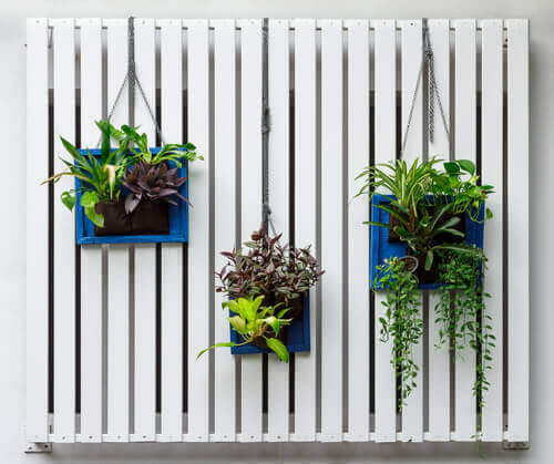 수직 정원을 만들어 평범한 벽을 탈바꿈하는 4가지 아이디어