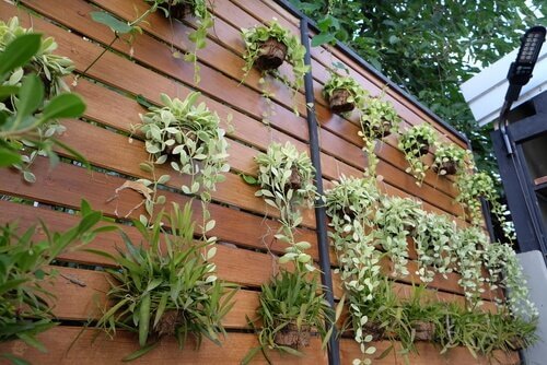 수직 정원을 만들어 평범한 벽을 탈바꿈하는 4가지 아이디어