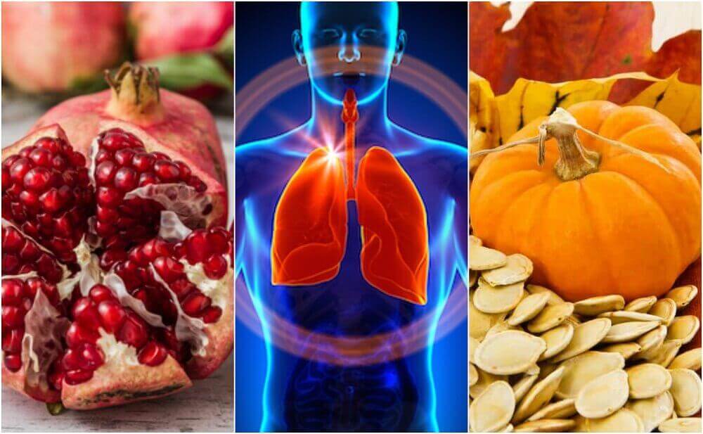 폐 기능을 증진시키는 식품 6가지