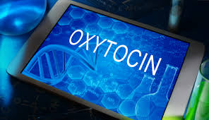 옥시토신 호르몬은 무엇일까?