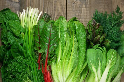 푸른잎 채소는 매일 먹는 식단에 반드시 넣어야 할 식품이다.