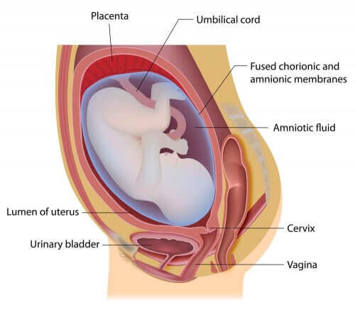 임신 중 질 출혈의 원인 및 대처 방안