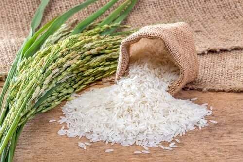 좋은 피부를 위한 쌀로 만든 3가지 바디 크림 - 쌀, 꿀과 유기농 우유