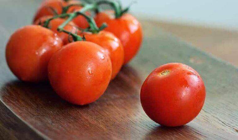 토마토 4조각으로 토마토를 키우는 방법