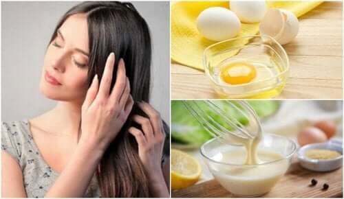 건성모발을 위한 7가지 트리트먼트 - 달걀, 우유 그리고 장미