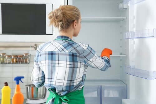 친환경적인 냉장고 살균 청소법