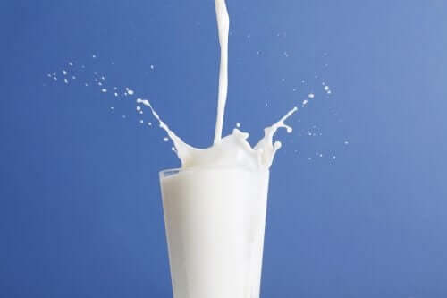 전유와 저지방 우유, 어느 쪽이 더 나을까?