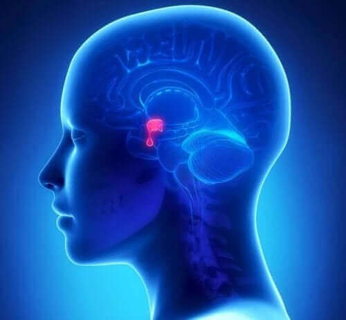 뇌하수체 선종의 원인과 증상