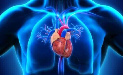대동맥 박리는 무엇일까?