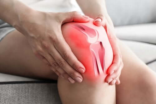 골관절염이 무릎 통증을 유발하는 이유