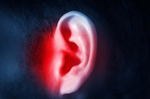 귀 감염을 치료하기 위한 권고 사항